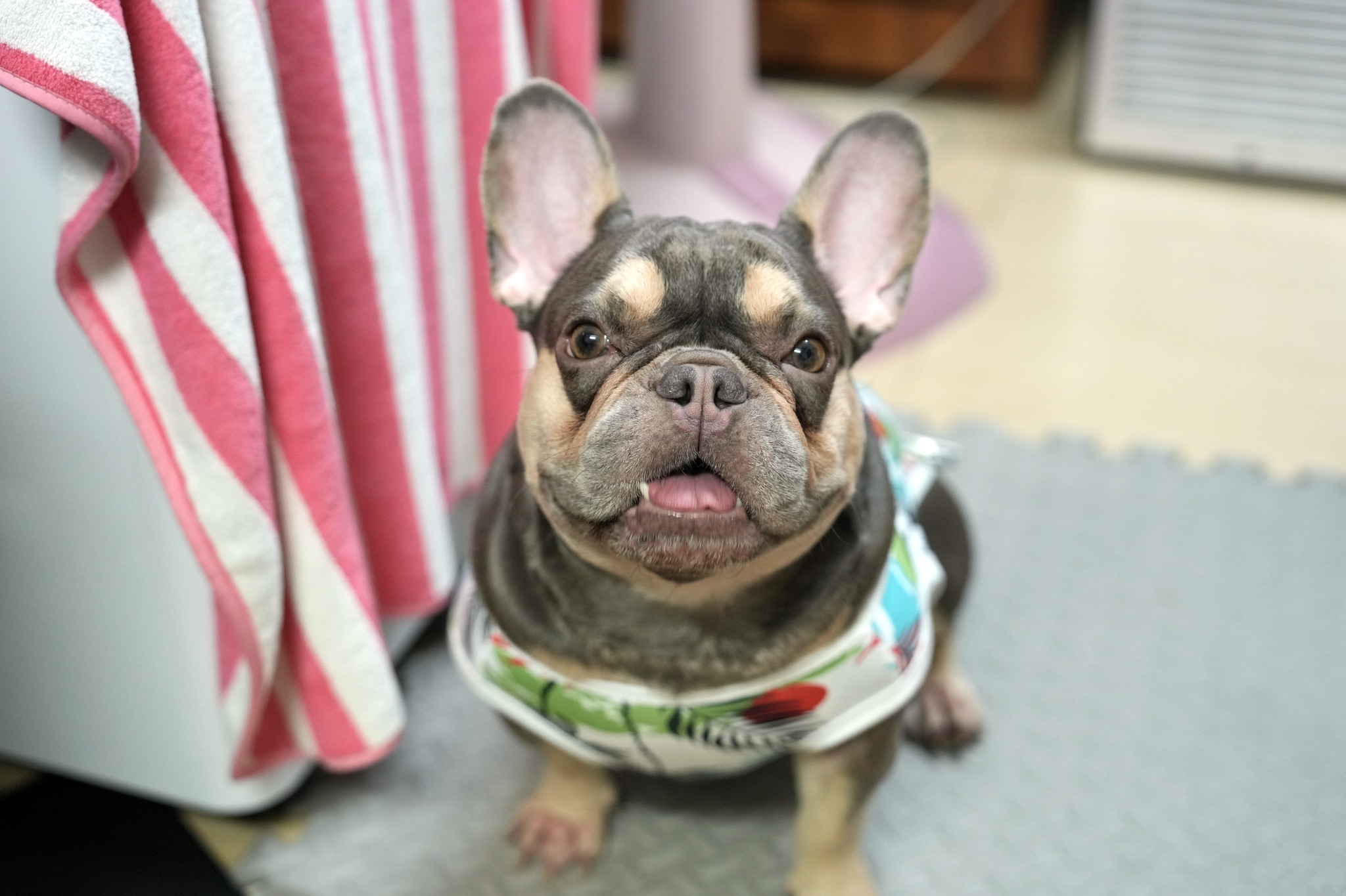 คุณริชชี่